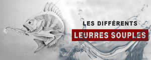 Les Différents Leurres Souples